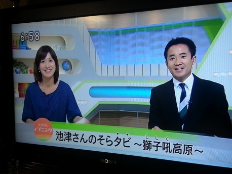 NHKtaka.jpg