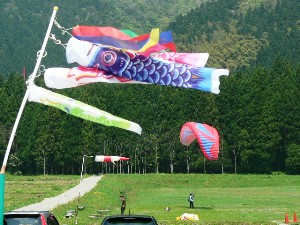 koinobori5.3.jpg